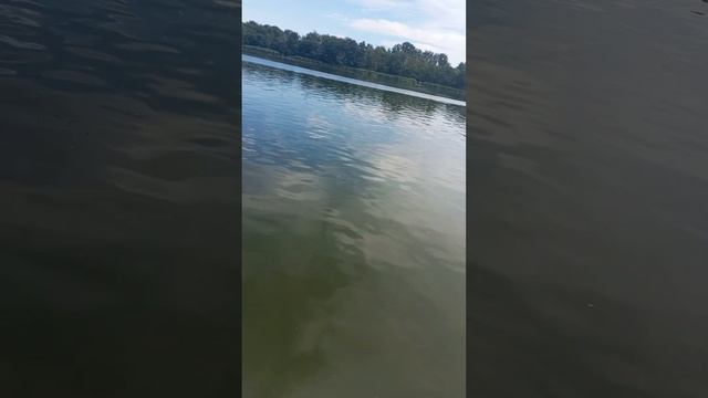 барк седов смотреть онлайн