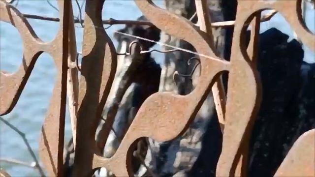 Обзор посёлок Кочетинский в Динском районе Краснодарского края смотреть онлайн