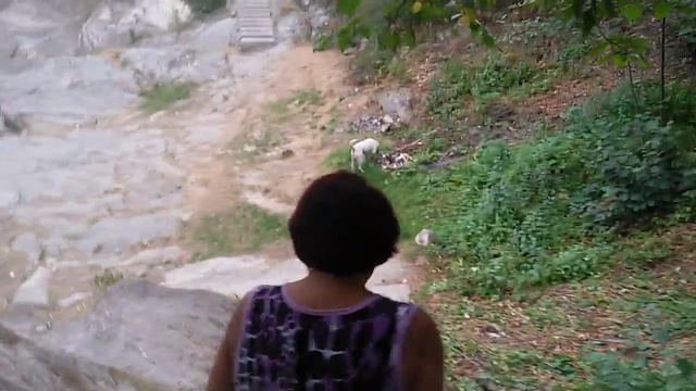 Ральф бежит в ресторан в Шешорах