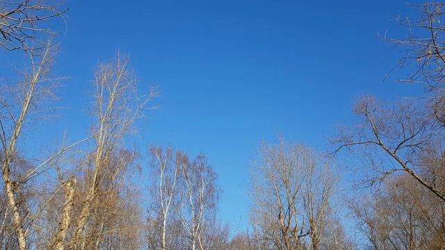КРАСОТА зима 2020 смотреть онлайн