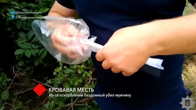 В Овидиопольском районе бездомный из-за оскорблений убил мужчину смотреть онлайн