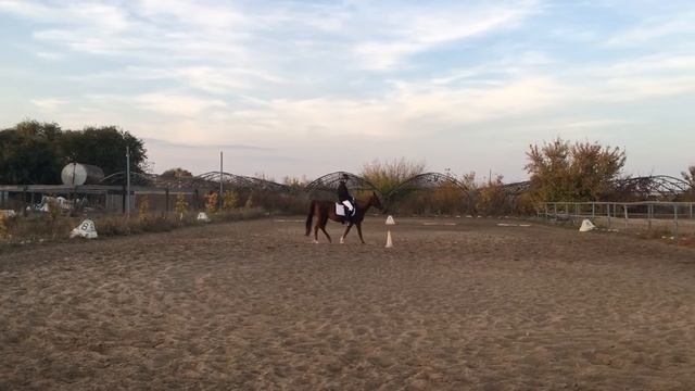 Данила Ямашкин на Мии. ВI Тест 1 (шаг-рысь) смотреть онлайн