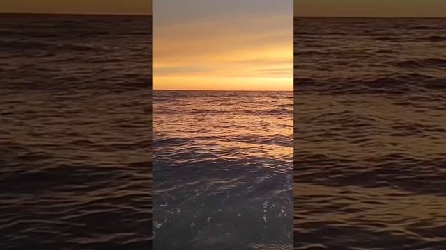 Анапа 3 апреля, Малая Бухта #shortsvideo #море #закат смотреть онлайн