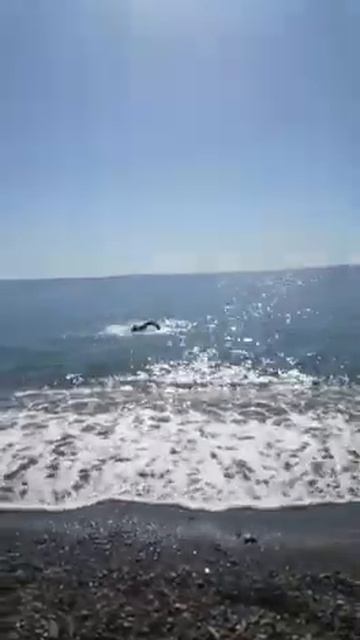 Весна 7 марта 2020 пляж Кукуруза