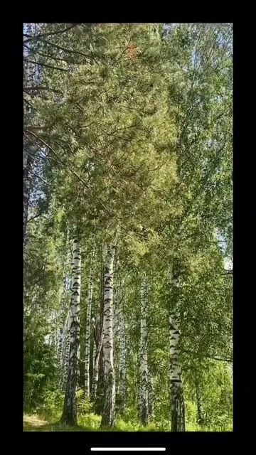 Душевная песня смотреть онлайн