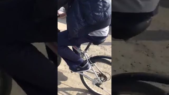 Спасли мышку от кото