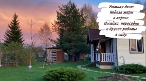 Уютная дача: Неделя жары в апреле. Посадки, пересадки и другие работы в саду.