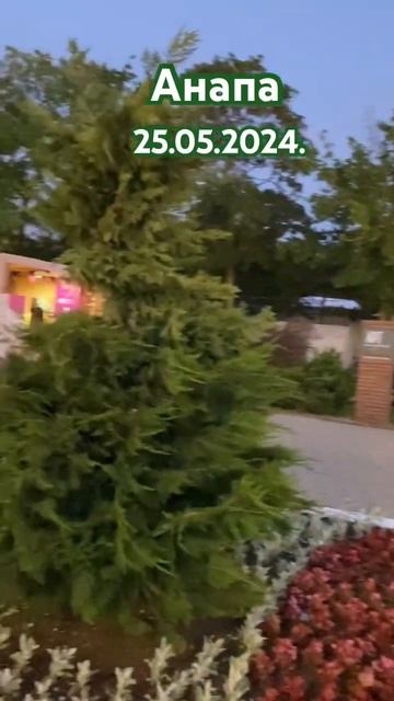 #Анапа Набережная 2024 смотреть онлайн