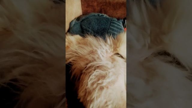 буду спать 😎🥰😎