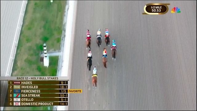 Яркие моменты 2024💥The Holy Bull Stakes💥 смотреть онлайн