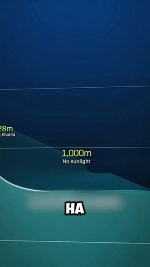 Вот на сколько на самом деле глубок океан