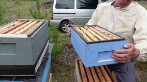 МАГАЗИНЫ ПОЛНЫ МЕДА В ШЕСТИРАМОЧНИКАХ!!! , добавляю корпуса!!!