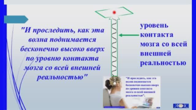 Вирусы. Метод 2. Использовать головной мозг для нейтрализации вируса по Учению Г. Грабового.