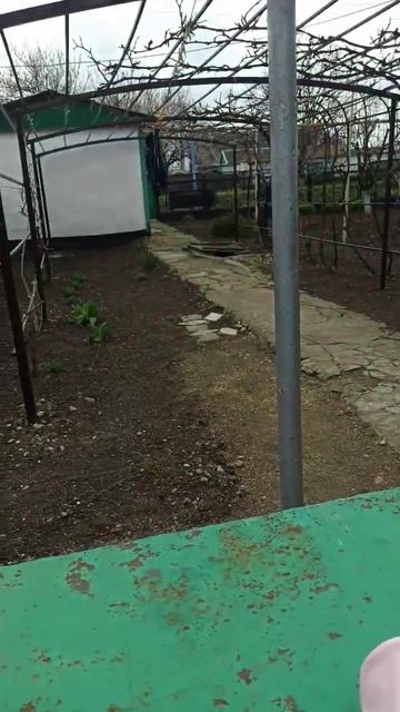 #акварель #scketch #art #watercolor #flower #гамма #painting #makeup#artist#nature #белыеночи#весна