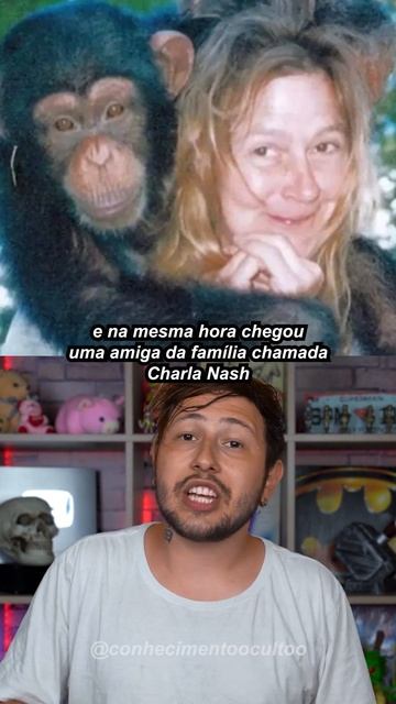 O chimpanzé que desfigurou uma pessoa смотреть онлайн