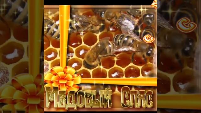 14 Августа Начало Успенского Поста.Медовый Спас!