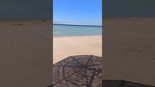 Zahabia Hotel & Beach Resort 3* /     Захабия 3*