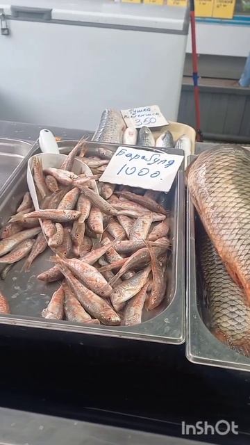 АНАПА. 17 декабря 2023 г. Цены на рыбу свежую. Рынок восточный (фермерский). смотреть онлайн