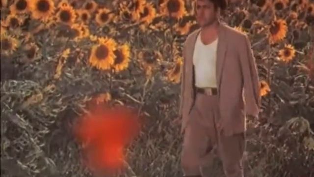 Я любил одну милую смотреть онлайн