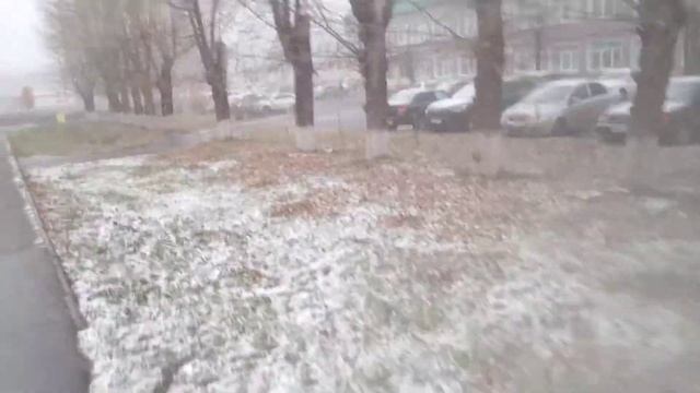 21. 10. 2020. А утром был Первый, Белый, Пушистый Снежок! )))