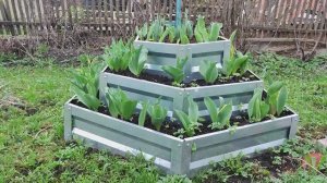 Трехъярусная металлическая клумба через год.