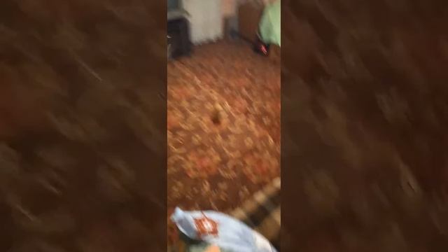 6 марта 2022 г. смотреть онлайн