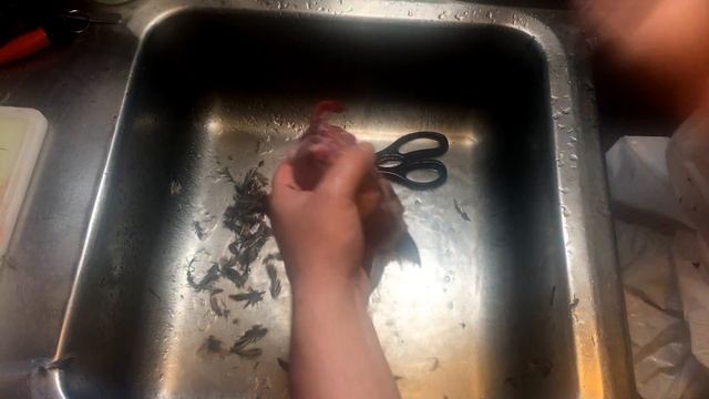 How to Butcher quail (no dispatch) смотреть онлайн
