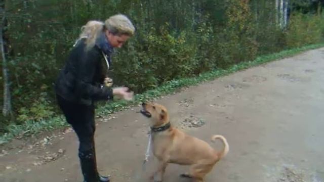 видео Дина 3 07 10 смотреть онлайн