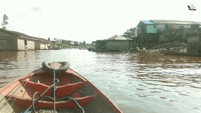 Fish haunting - MANCING DI PEDALAMAN SUNGAI MAHAKAM || DESA SEDULANG смотреть онлайн