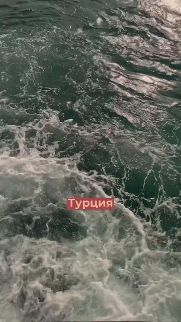 Почему мы решили остаться в Сербии, рассказала в своем инст, переходи и оставайся с нами❤️