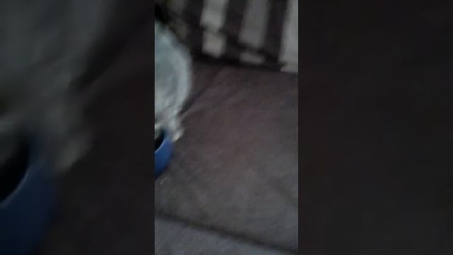 Чисто и экононо,можно доверять,и делает самоочитску