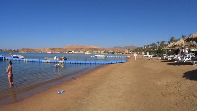 ШОК ОТ МОРЯ И ПЛЯЖА. SETI SHARM  RESORT  4*. ИЮНЬ 2024.