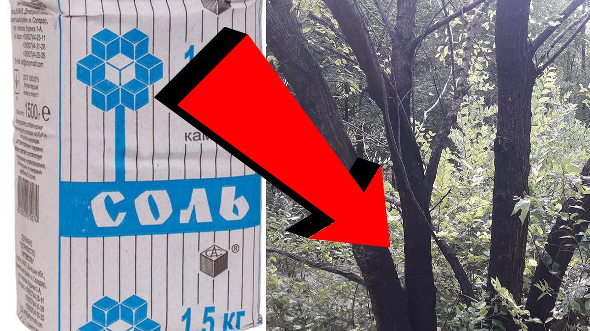 ПОЛЕЗНЫЕ СОВЕТЫ