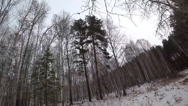 Загонная охота. Я даже растерялся....