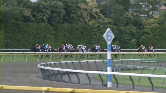 'Romantic Warrior' одержал пятую победу подряд!