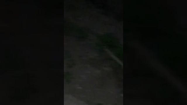 Реальный рейк наложил в штаны Очень страшно не кликбейт хотите не верьте хотите верьте смотреть онлайн