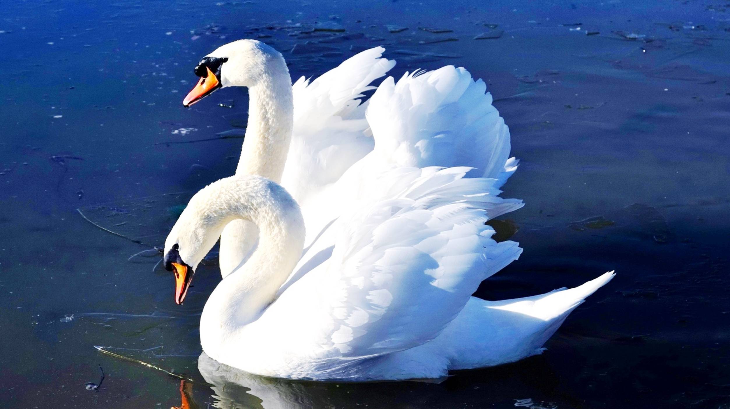 ЧТО ТАКОЕ РОССИЯ смотреть онлайн