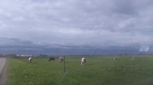 VID_20250426_153124.mp4