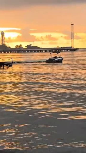 ресторанназывается Фишландия рекомендую всем ребята находятся возле базара рыбного Батуми☝🏻❤️ смотреть онлайн