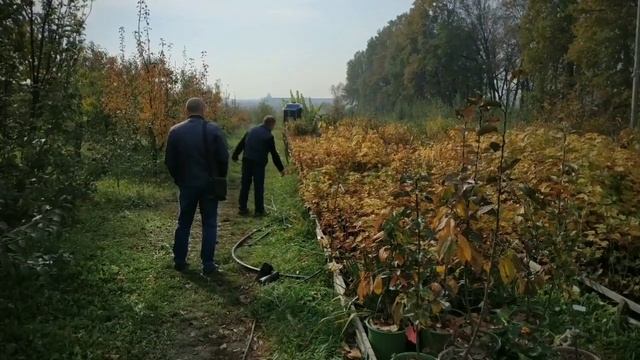 Вiд щирого серця смотреть онлайн