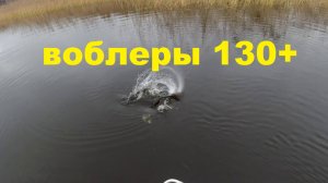 Воблеры 130+ Применение, игра, поклевки.