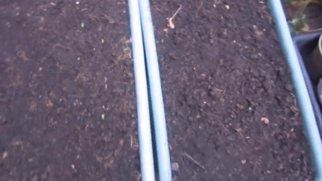 КАК ЗАСТАВИТЬ СКОРЕЕ СПЕТЬ ПЕРЦЫ. СПОСОБ выращивания ТЫКВЫ на маленьком участке. смотреть онлайн