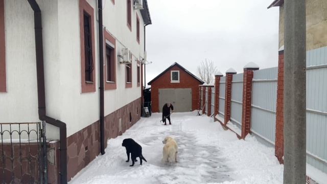 Надо уметь все - и снег почистить: меня родители приучили к труду - я им очень благодарна !/26.12.2