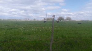 VID_20250426_153158.mp4