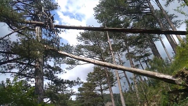 ДОлосы 2 е июня! 2019! РАскрестим! смотреть онлайн