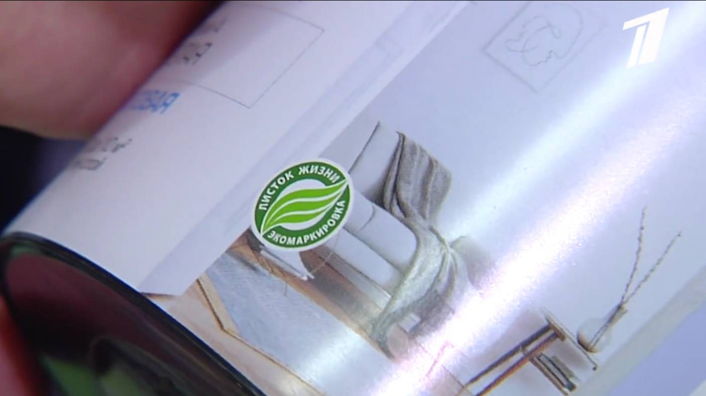 Экоремонт: как обновить дом с заботой об окружающей среде