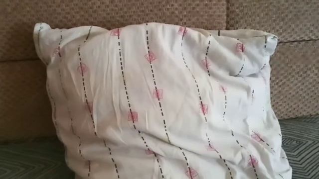 ДОКАЗЫВАЮ ПОДУШКЕ, ЧТО ДУРКА ПОРАБОТИТ МИР!