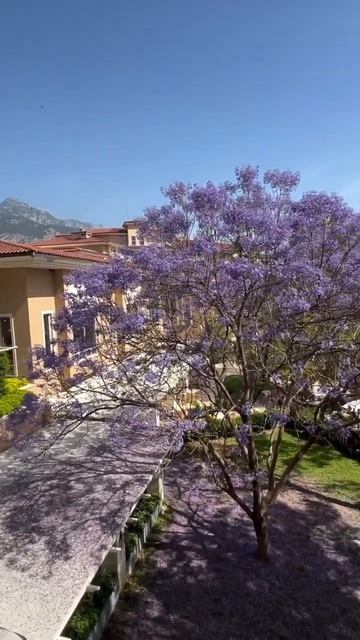 АККА. Кемер. Путешествие. Туризм. #travel #restaurant #food смотреть онлайн