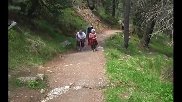 бернина 2008 год