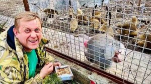 Джоник за меня просто РВЕТ на ЧАСТИ, а Люся прикинулась тенью увидя Олега Зубков